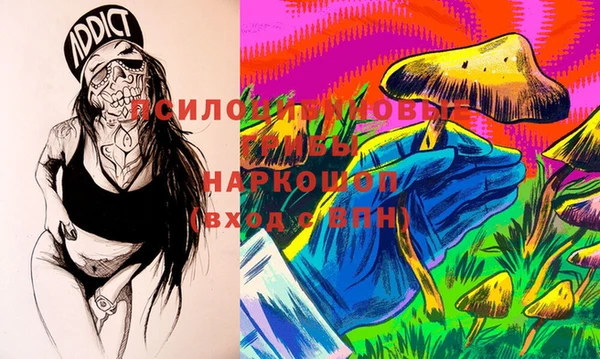 PSILOCYBIN Абаза